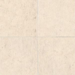 Daltile Euro Beige 18 in. x 18 in. Natural Stone Floor and Wall Tile (11.25 sq. ft. / case)