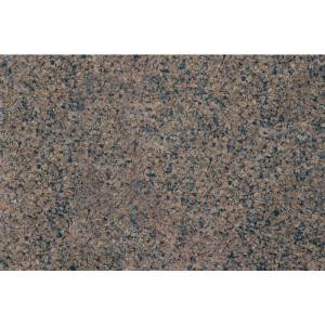 MS International Tropic Brown 18 in. x 31 in. Polished Granite Floor and Wall Tile (7.75 sq. ft. / case)