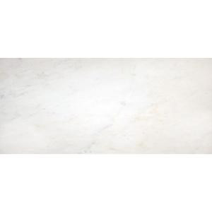 MS International Greecian White 8 in. x 12 in. Polished Marble Floor and Wall Tile (6.67 sq. ft./case)