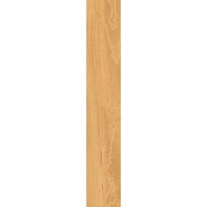 TrafficMASTER Allure 6 in. x 36 in. Blonde Maple Resilient Vinyl Plank Flooring (24 sq. ft./case)
