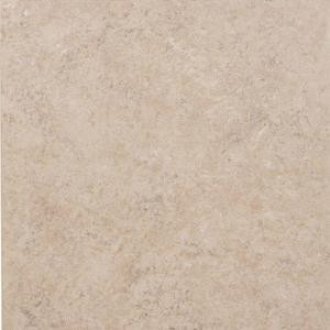 Americer Amazon Sand 16 in. x 16 in. Ceramic Floor and Wall Tile