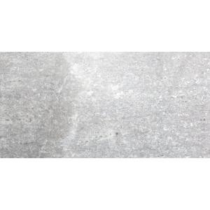 MS International Style Argent 12 in. x 24 in. Glazed Porcelain Floor and Wall Tile (16 sq. ft. / case)