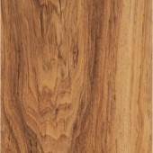 High Gloss Paso Robles Pecan Laminate Flooring - 5 in. x 7 in. Take Home Sample