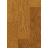 Shaw 3/8 in. x 5 in. Appling Caramel Engineered Hickory Hardwood Flooring (19.72 sq. ft. / case)