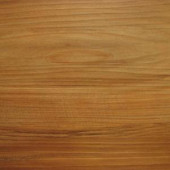 TrafficMASTER Allure Tradition Resilient Vinyl Plank Flooring - 4 in. x 4 in. Take Home Sample