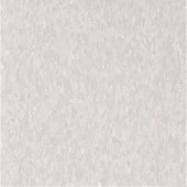 Armstrong Imperial Texture VCT 12 in. x12 in. Soft Warm Gray Standard Excelon Commercial Vinyl Tile (45 sq. ft. / case)