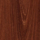 TrafficMASTER Raintree Acacia 12 mm Thick x 4-31/32 in. Wide x 50-25/32 in. Length Laminate Flooring (14 sq. ft. /case)