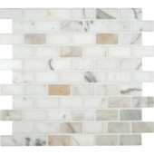 MS International Calacatta Gold 1 in. x 2 in. Polished Marble Mesh-Mounted Mosaic Floor and Wall Tile